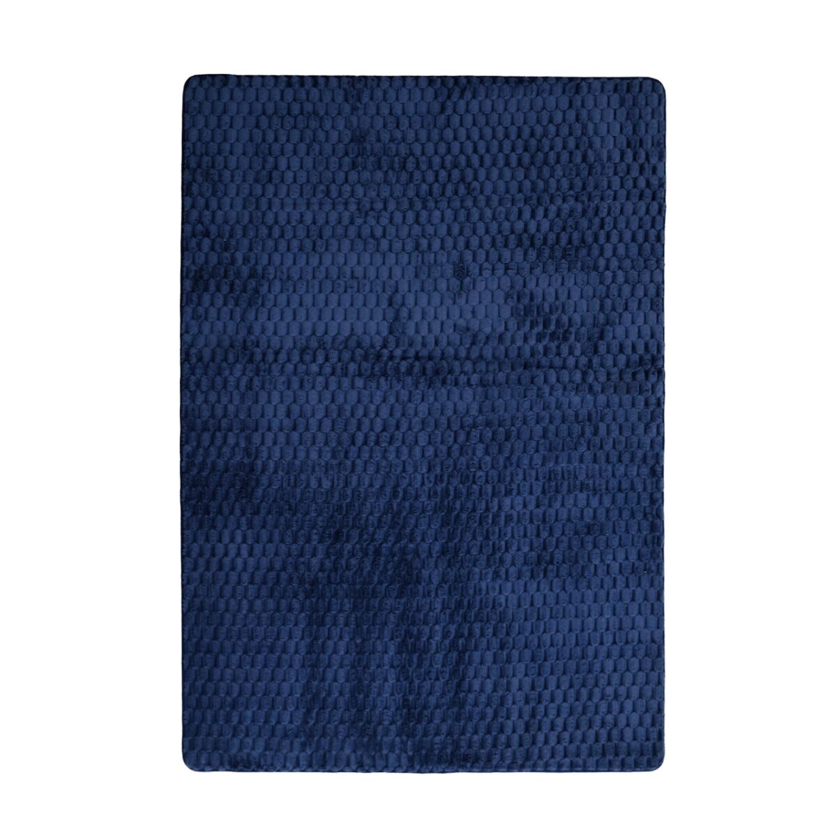 Turtle Back Blue Carpet - CTB01 - Image 1